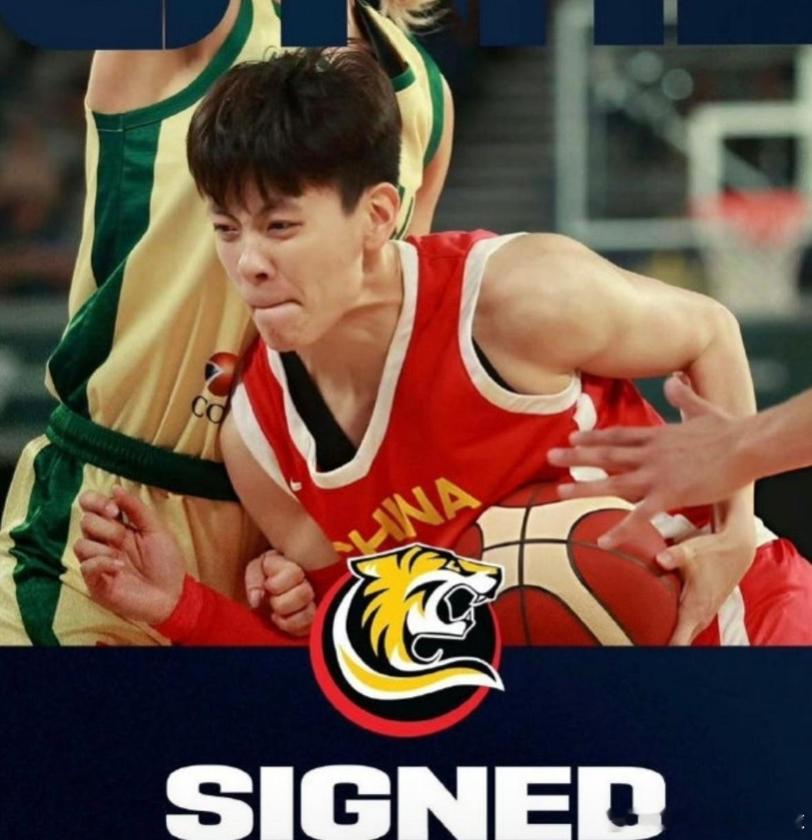 中国双枪发威！墨尔本老虎女篮主场两连胜，杨舒予陈明伶默契配合成亮点NBL1常规赛