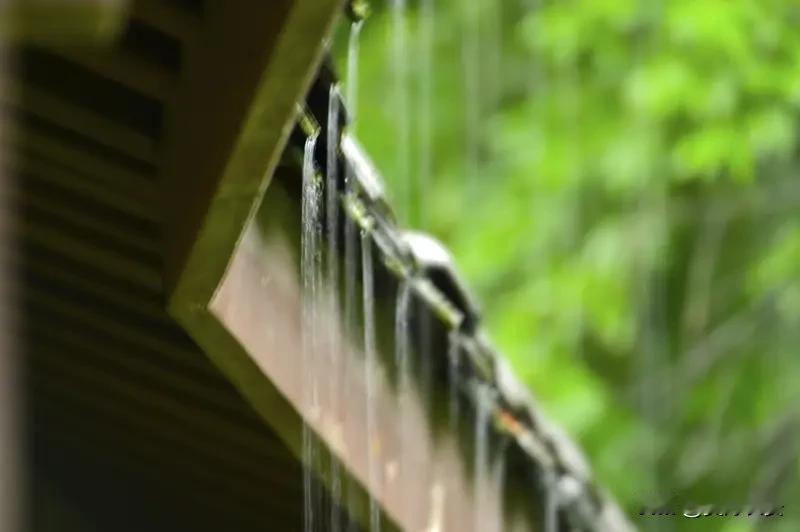 我喜欢雨天，尽管自己还是个放羊娃时，曾被大雨淋透了衣裳。我赶着羊群往回跑，羊群也