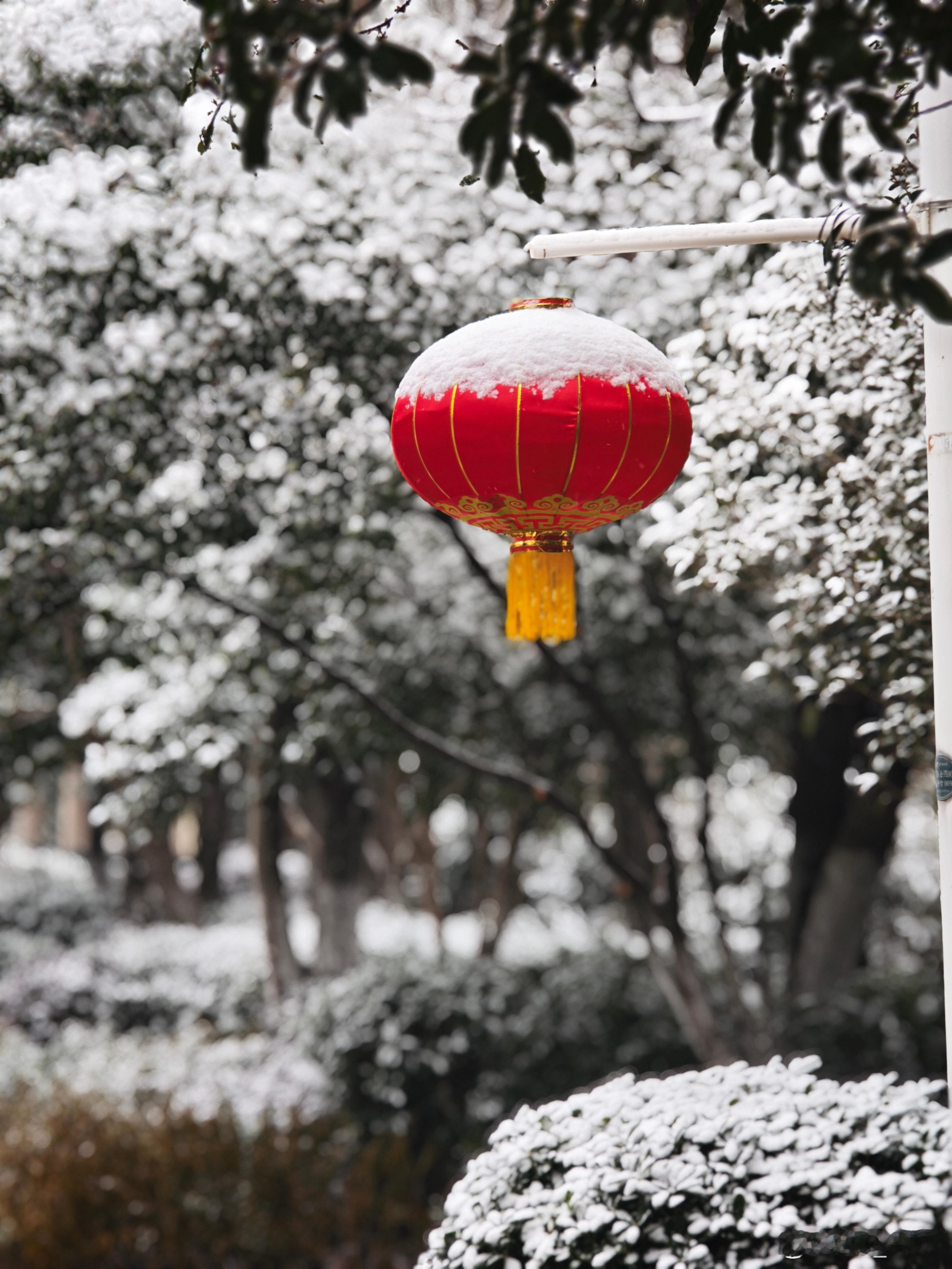 小米的人像模式还有一定的进步空间。目前有概率把树枝 灯笼挂绳这些抹掉。当然，氛围