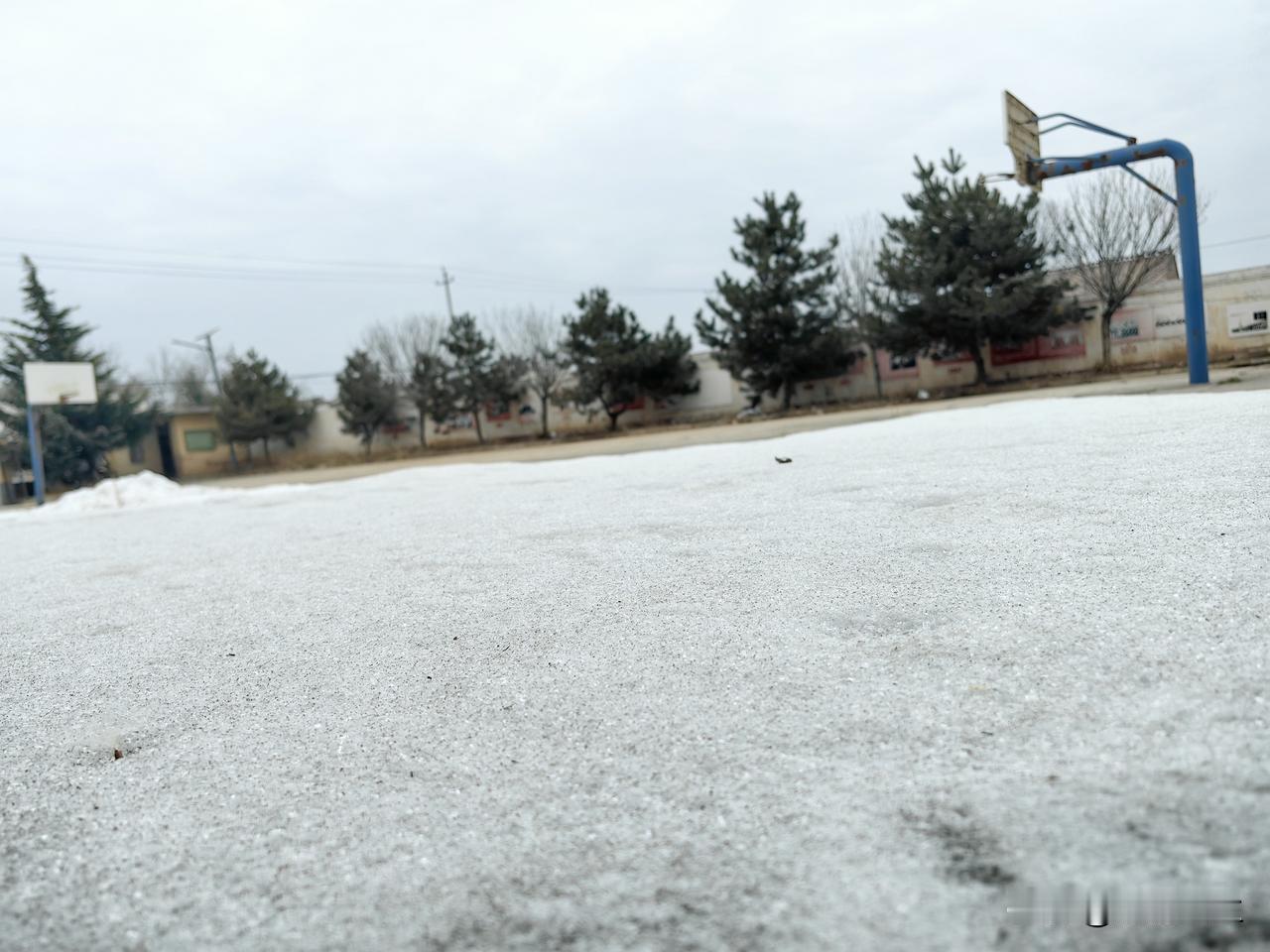 白水县苹果核心产区吴家窑村海拔纬度是真的高，天气是真的冷，一个月前的大雪至今未能