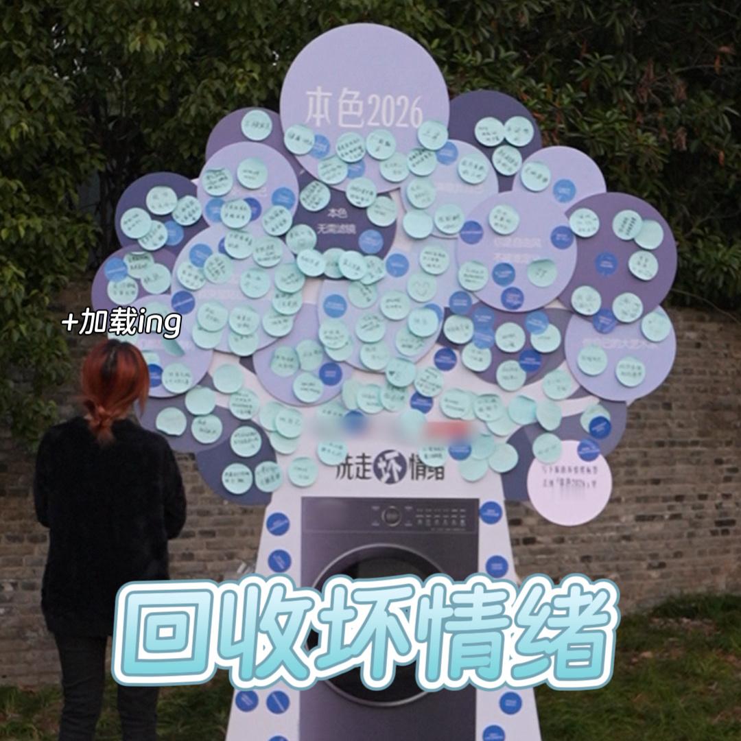 在杭州街头完成一次情绪回收杭州的浪漫连坏心情都回收年末走在杭州街头，被坏情绪投递