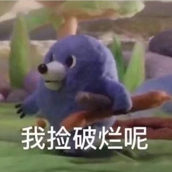 磊子娘最近： 