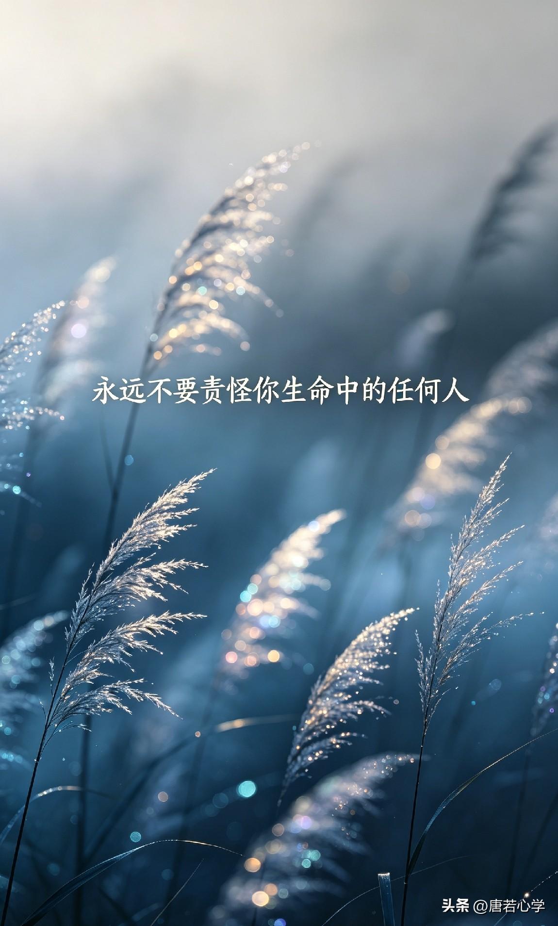 弘一法师说，“永远不要去责怪你生命里的任何人。”

很多人做不到。被人坑了，咽不