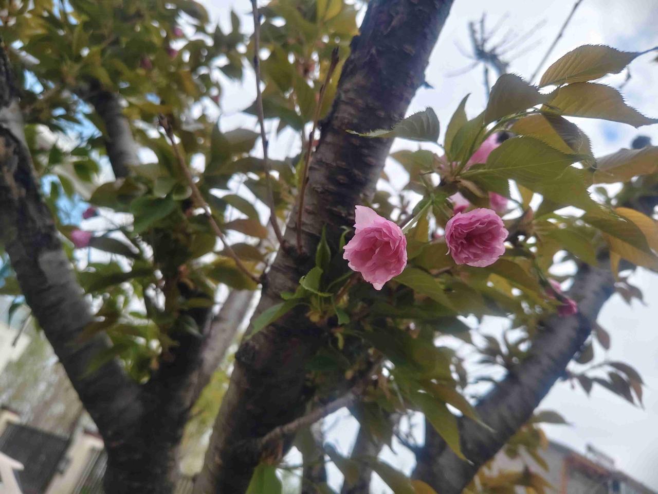 我的今日状态：🏝️旅行度假
我这里的天气：🌈雨过天晴