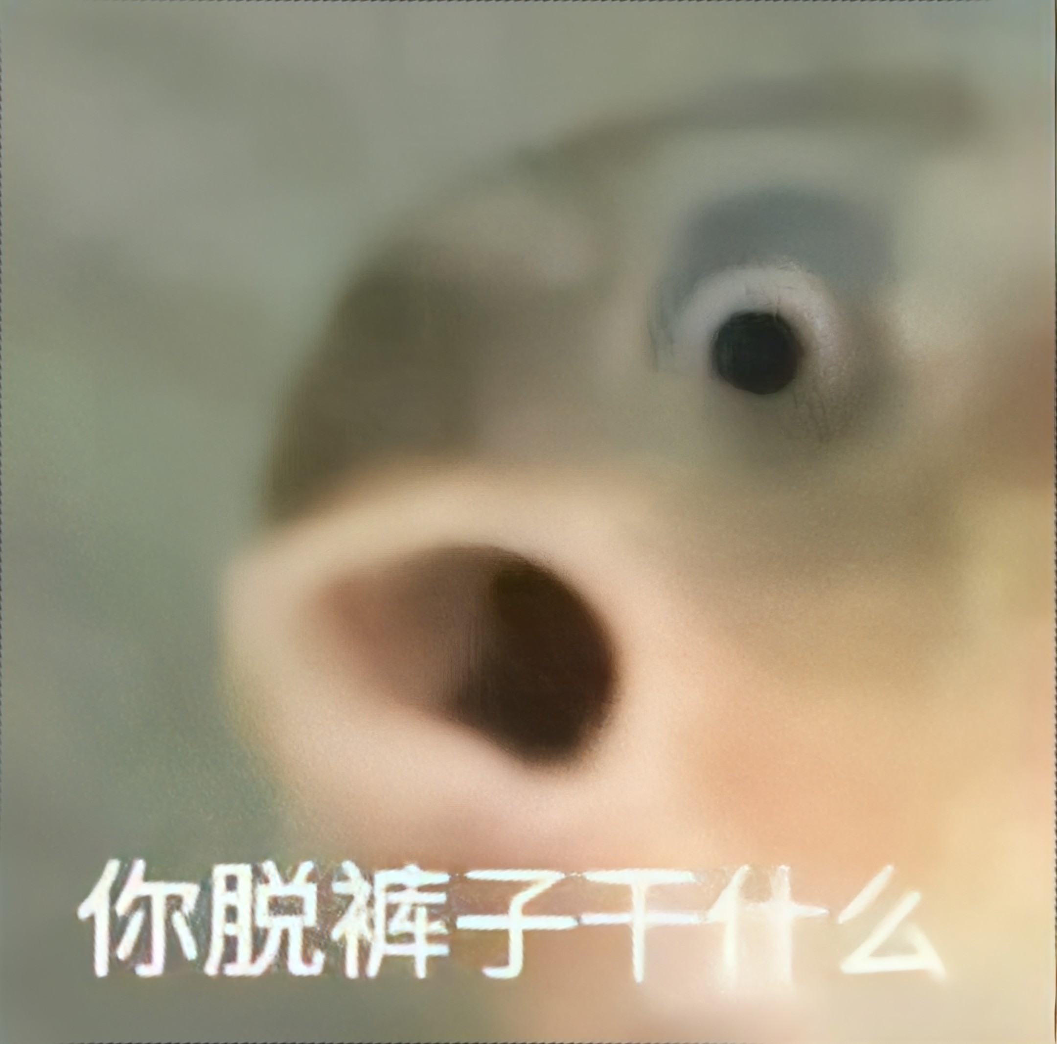 近期使用频率很高的聊天表情包 [开学季] ​​​