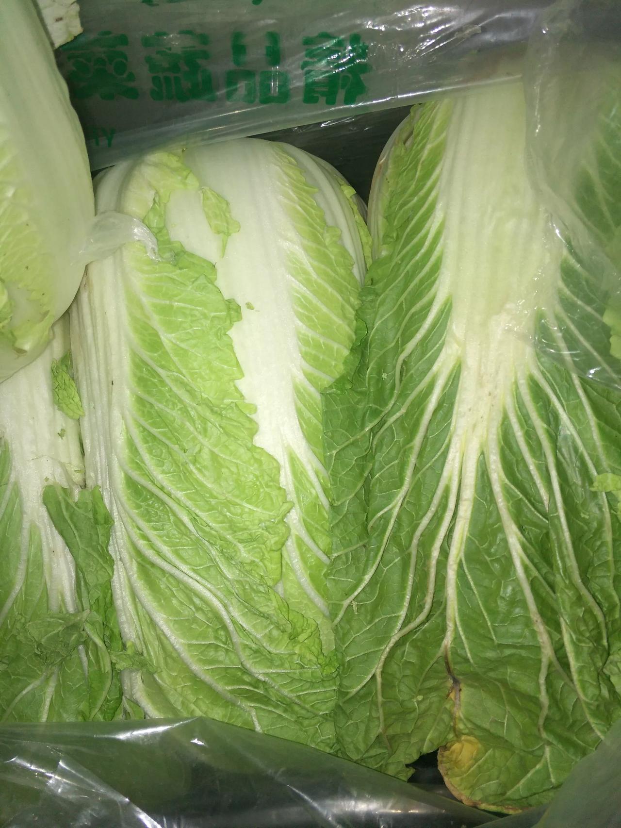 我村集市买上大白菜了，石家庄地区下再大的雪，咱也有白菜吃了，大白菜又白又嫩，叶子