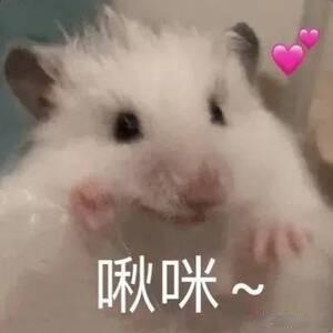   感受到一次旅游花这么多的话，肯定是得到了全方位的一种服务了呀，而且这个体验的