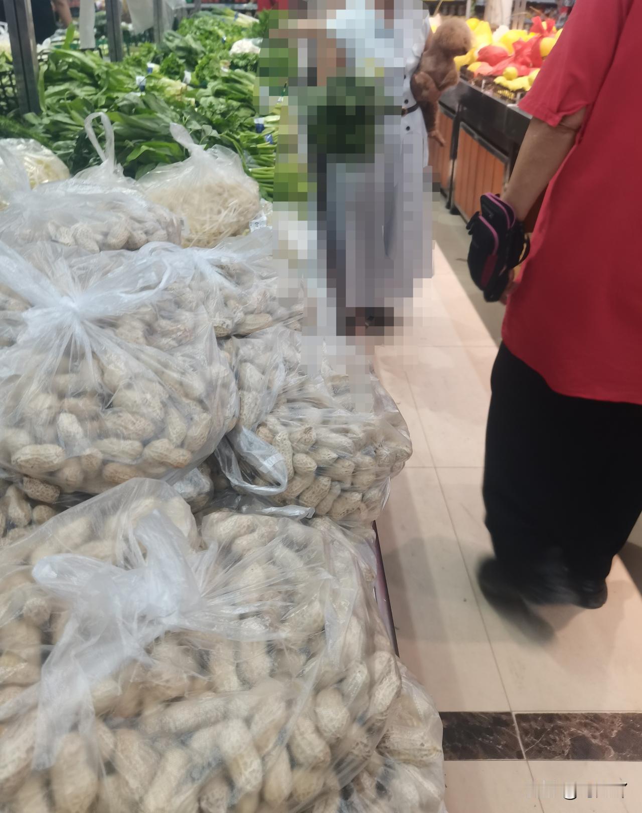 今天去超市买菜，又碰到一个抱着狗的女人在里面闲逛。

走进超市，我买了几种蔬菜后