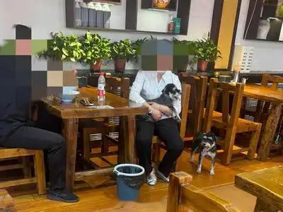 山西大同有家面馆，被一个女顾客追着骂了半个月。
每天换新账号，从卫生、服务到味道