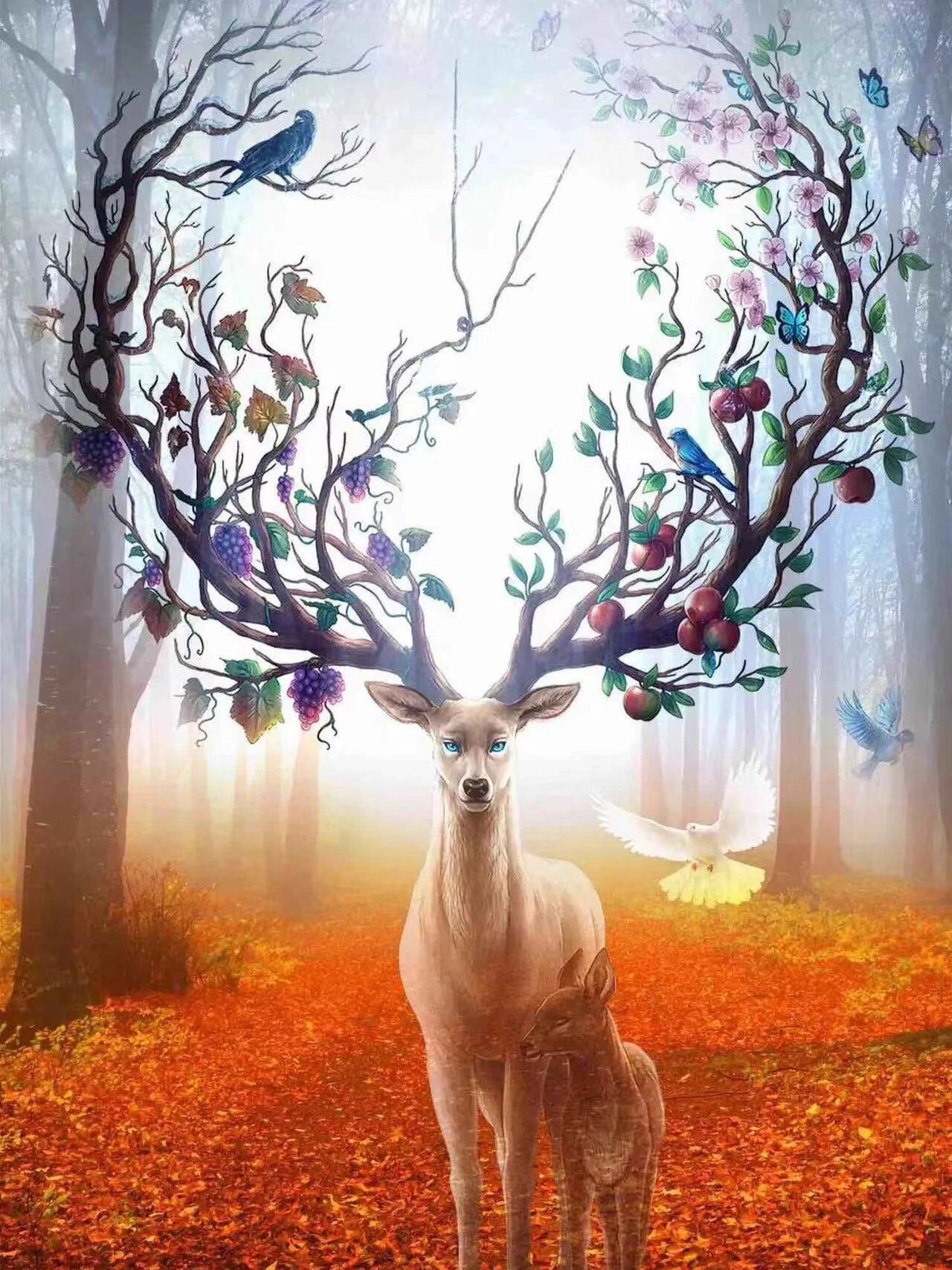 这是只有灵性的小鹿🦌🦌快许个愿吧~ ​​​