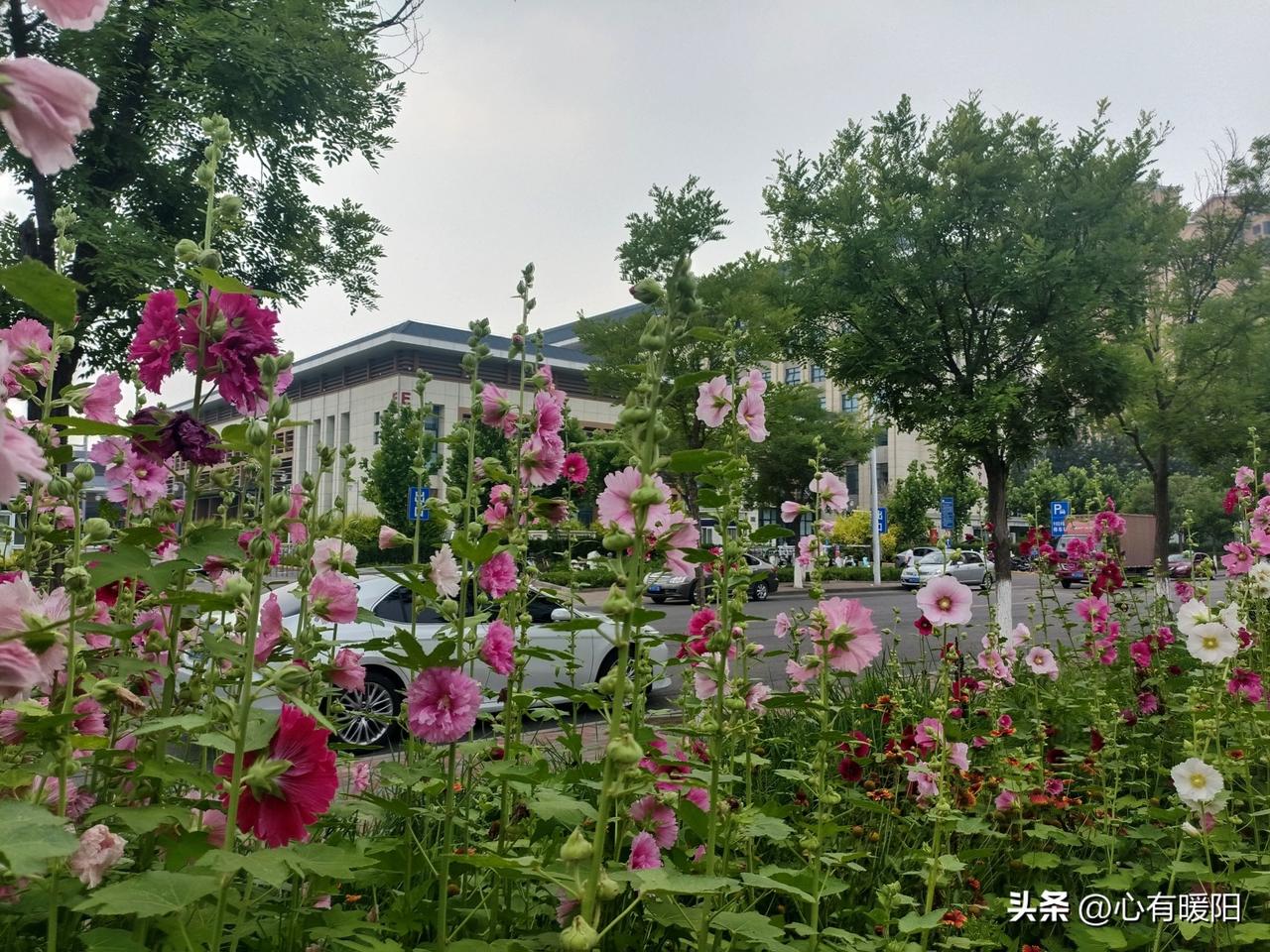怎么样的男人喜欢和别的女人暧昧?1. 爱搞暧昧的男人，大多贪心又没担当，偏爱所有