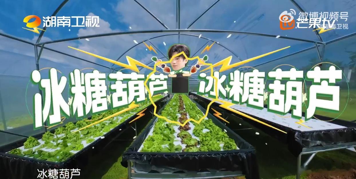 王俊凯扛大号音响干活没有推脱与迟疑，第一时间扛起大号音响进行运送安置，过程细致又