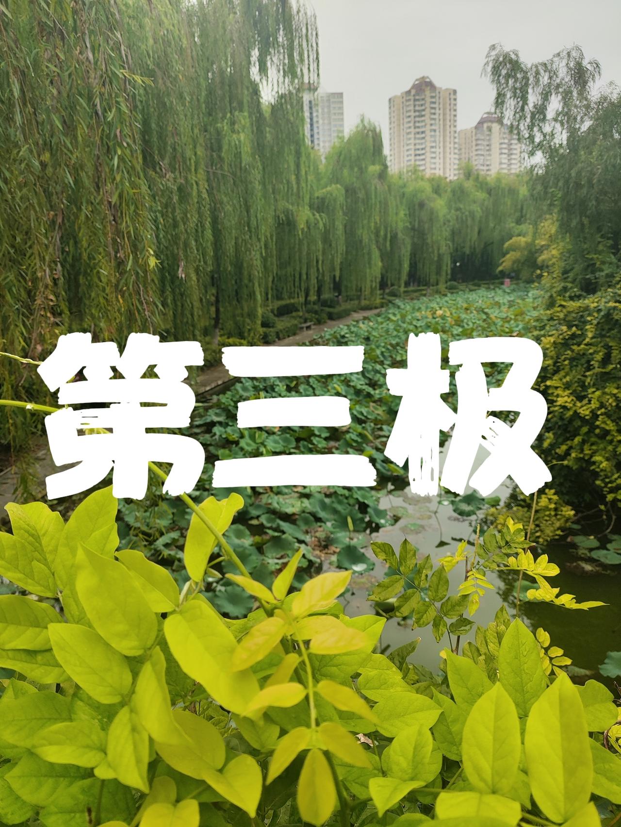 欧盟始终活在自己的杜撰的世界里
如果，把欧盟看作一个国家，这个国家的GDP高居世