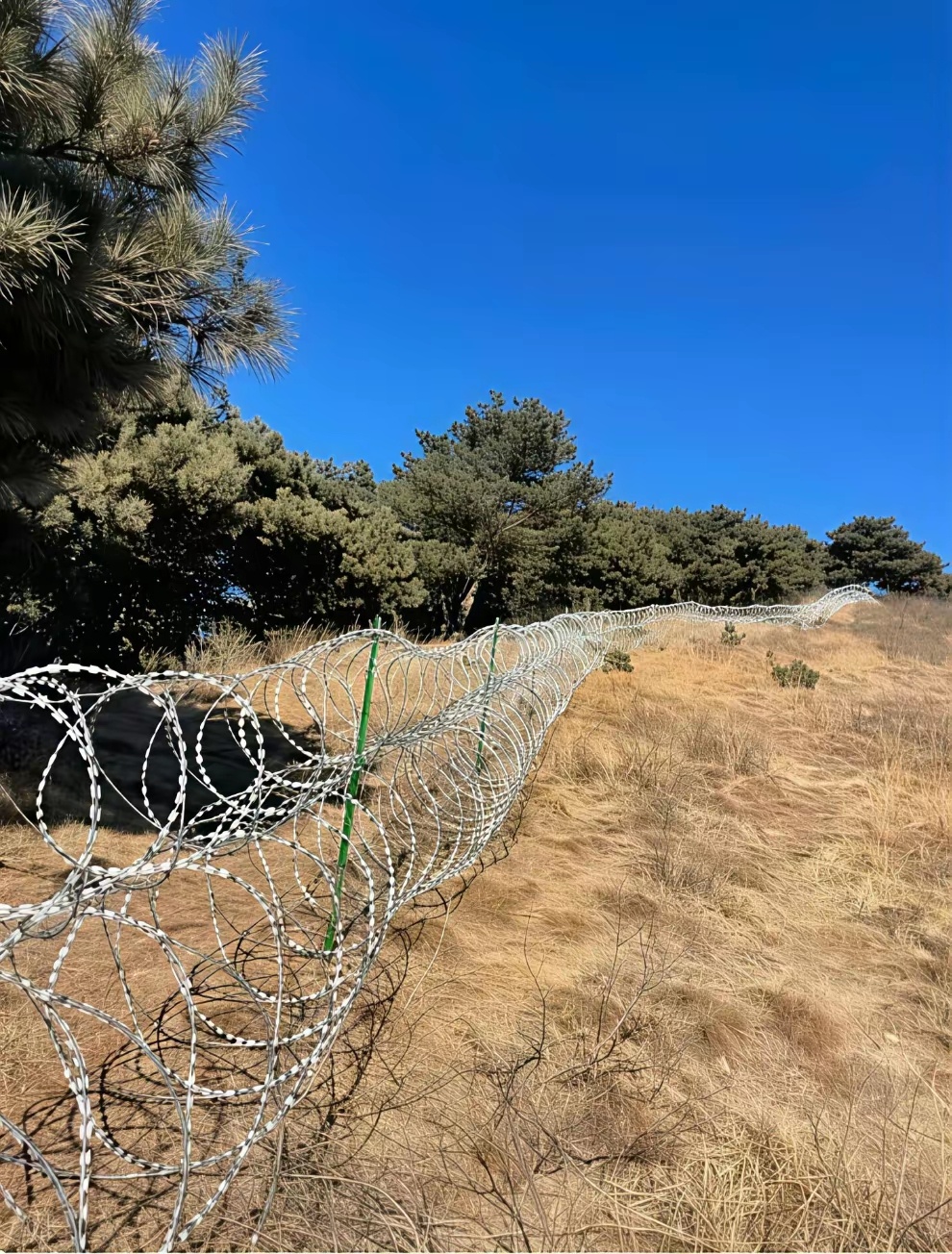 年入14亿的泰山花2500万建刀片刺网，只为防止100万的逃票损失，泰山景区是怎