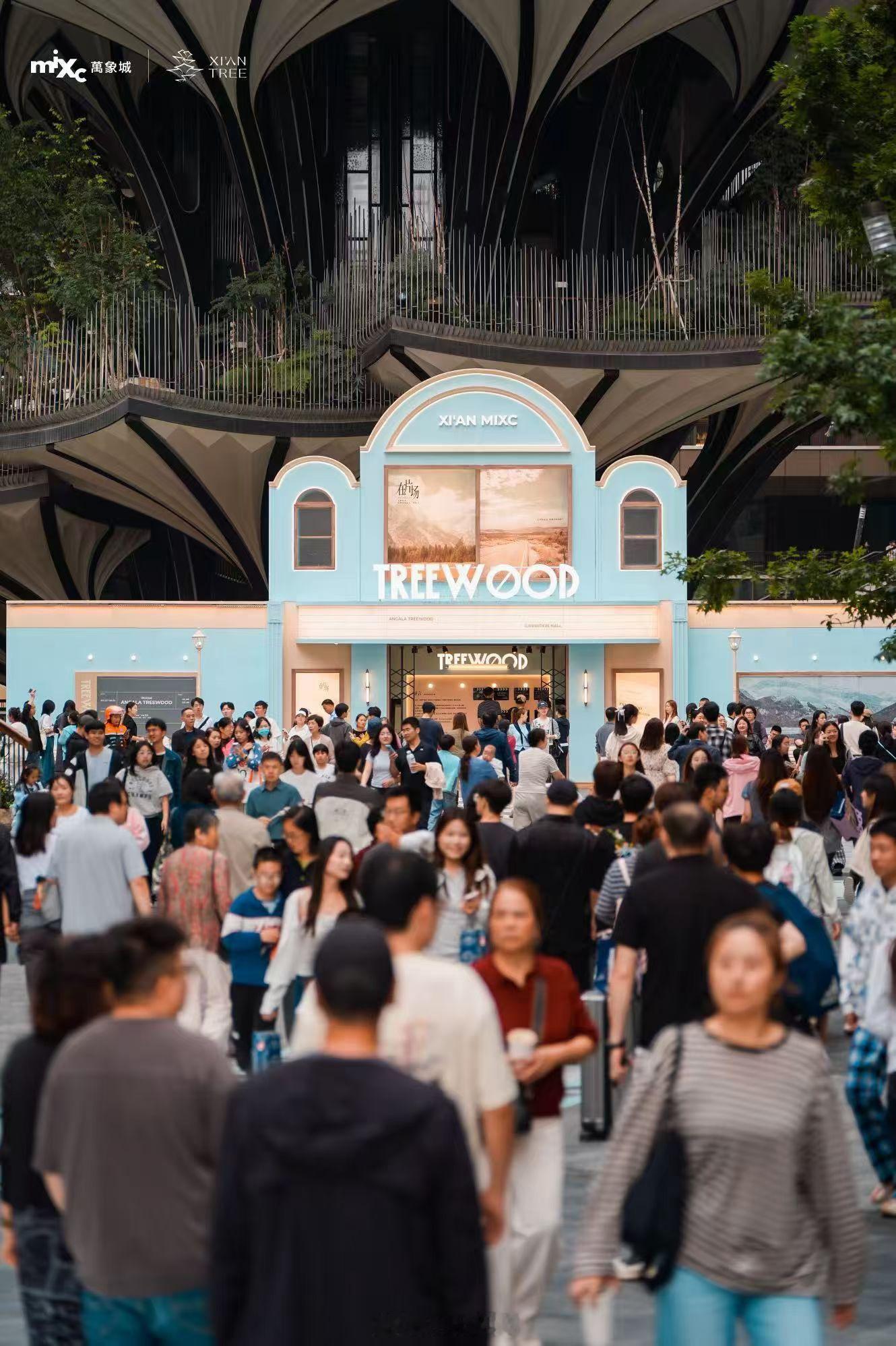 树万这人气！𝐆𝐑𝐎𝐖 𝐖𝐈𝐓𝐇 𝐓𝐑𝐄𝐄树生万物西安万象