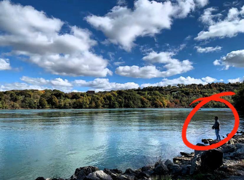 荷兰这波操作把自己整懵了！
把一手牌打得稀碎，
而且折腾半天里外不是人！

为了