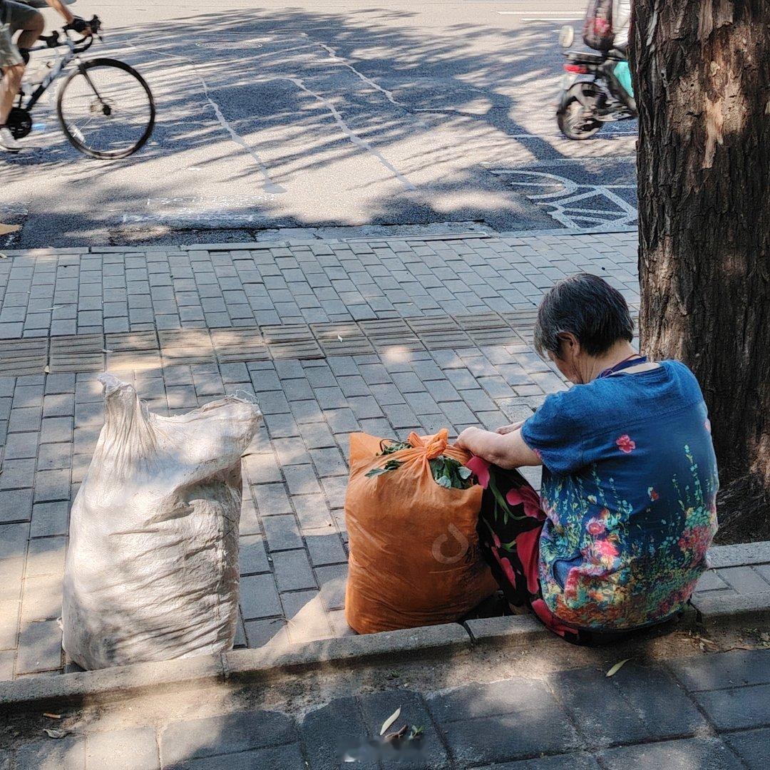 阳光穿过树叶，细碎的温柔散落开来～ 