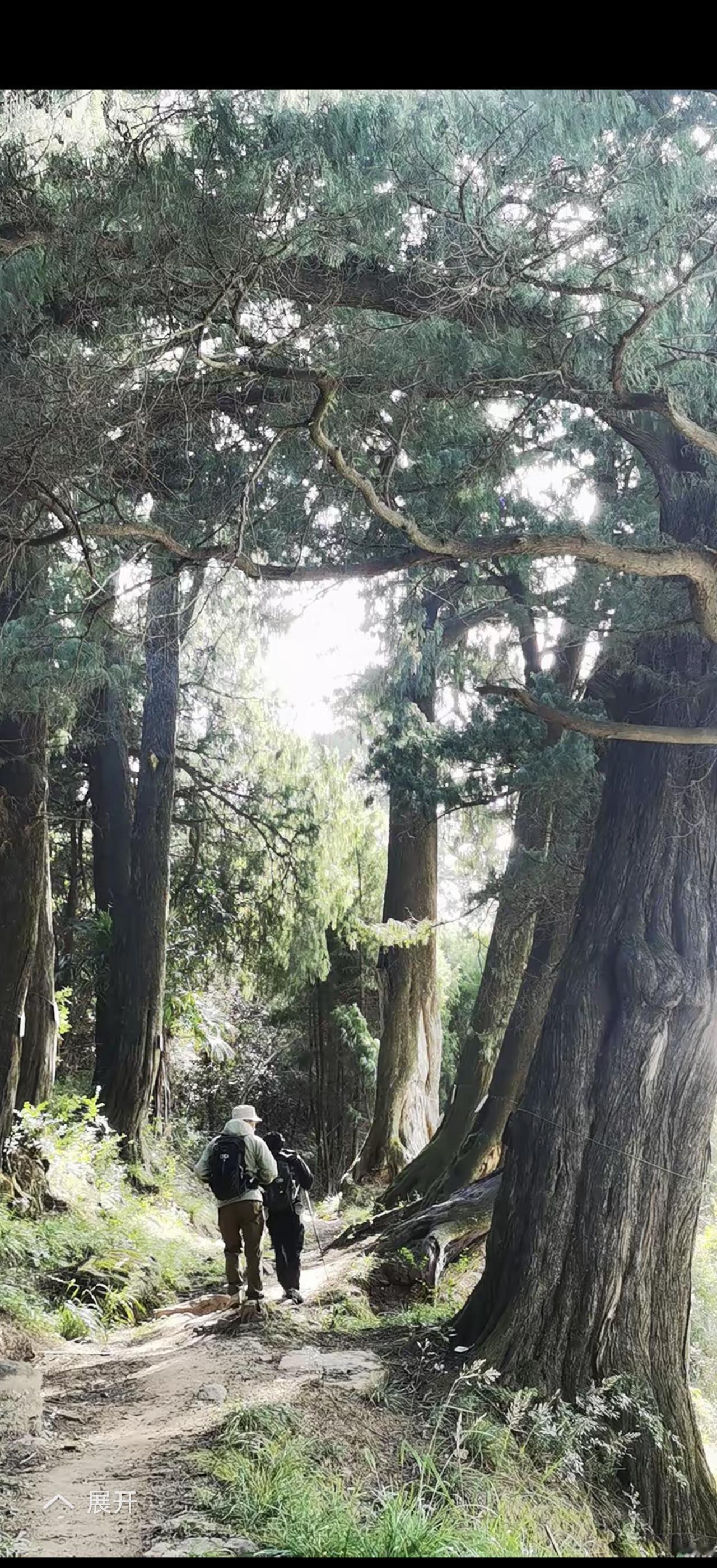 “蜀道之难，难于上青天”，古蜀道闻名遐迩。它是中原和西南交流的纽带，能媲美丝绸之