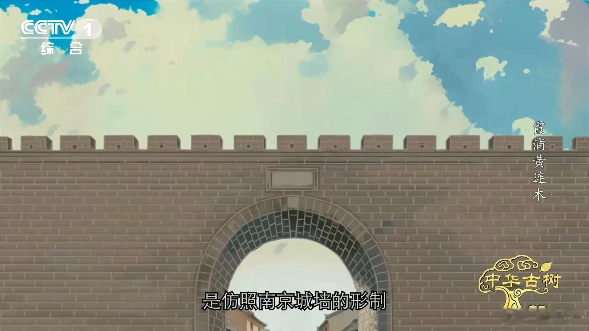 福建霞浦的渔村智慧绝了！石堡配112株古黄连木，500年守护超震撼～ 