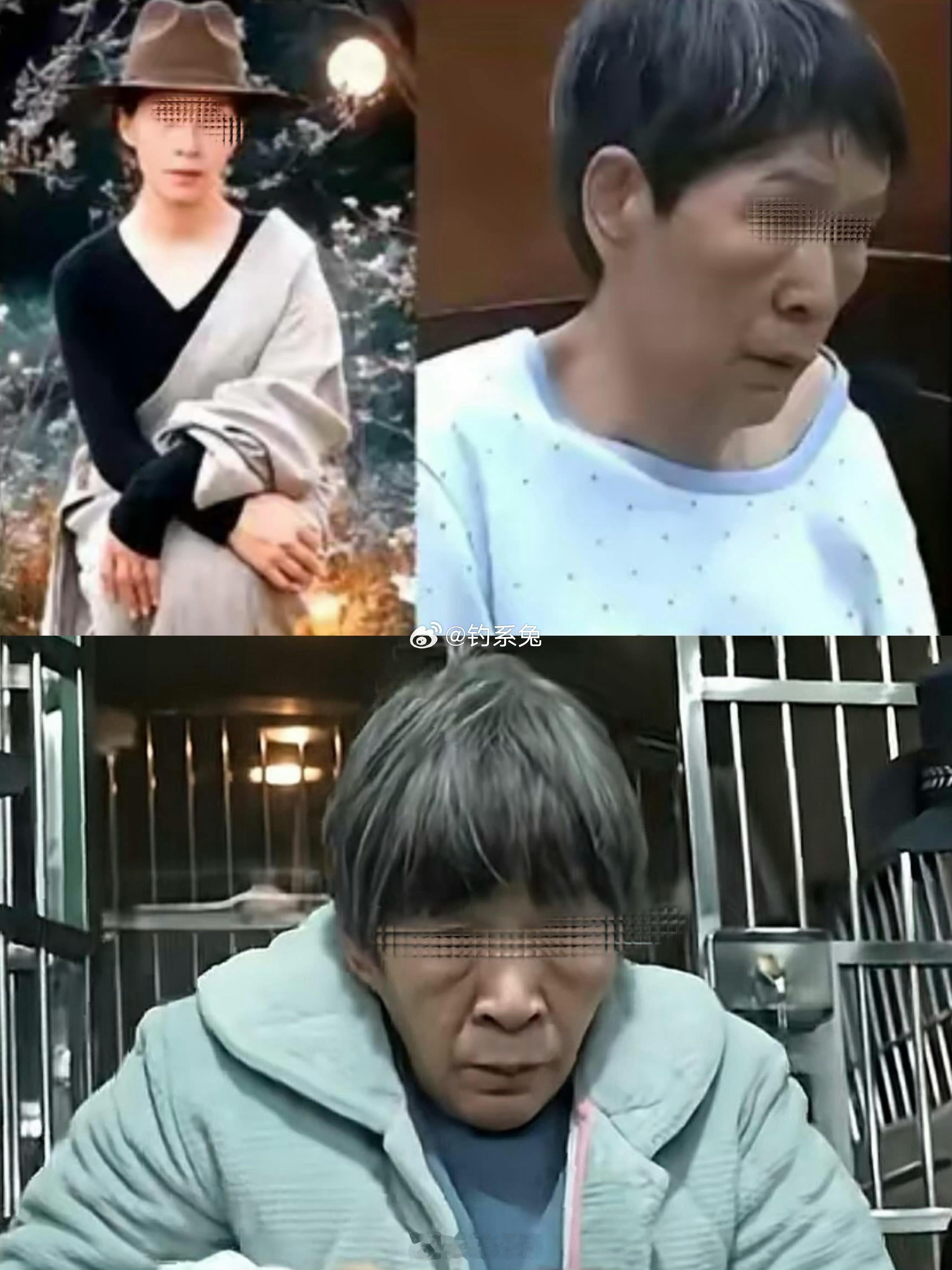 梅姨真实姓名首曝光梅姨（谢家梅）拐卖儿童案时间线2003—2005人贩子张维平在