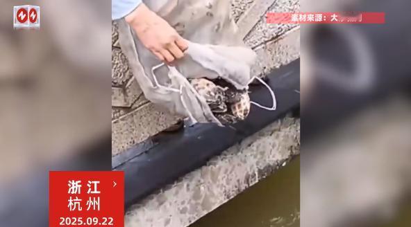 “严查到底！”9月22日，浙江杭州，一女子为了所谓的“行善积德”，竟然在一座寺庙