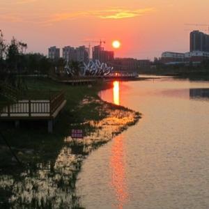 项城晓宇讲历史