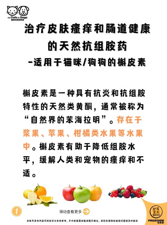 治疗皮肤瘙痒和肠道健康的天然抗组胺药