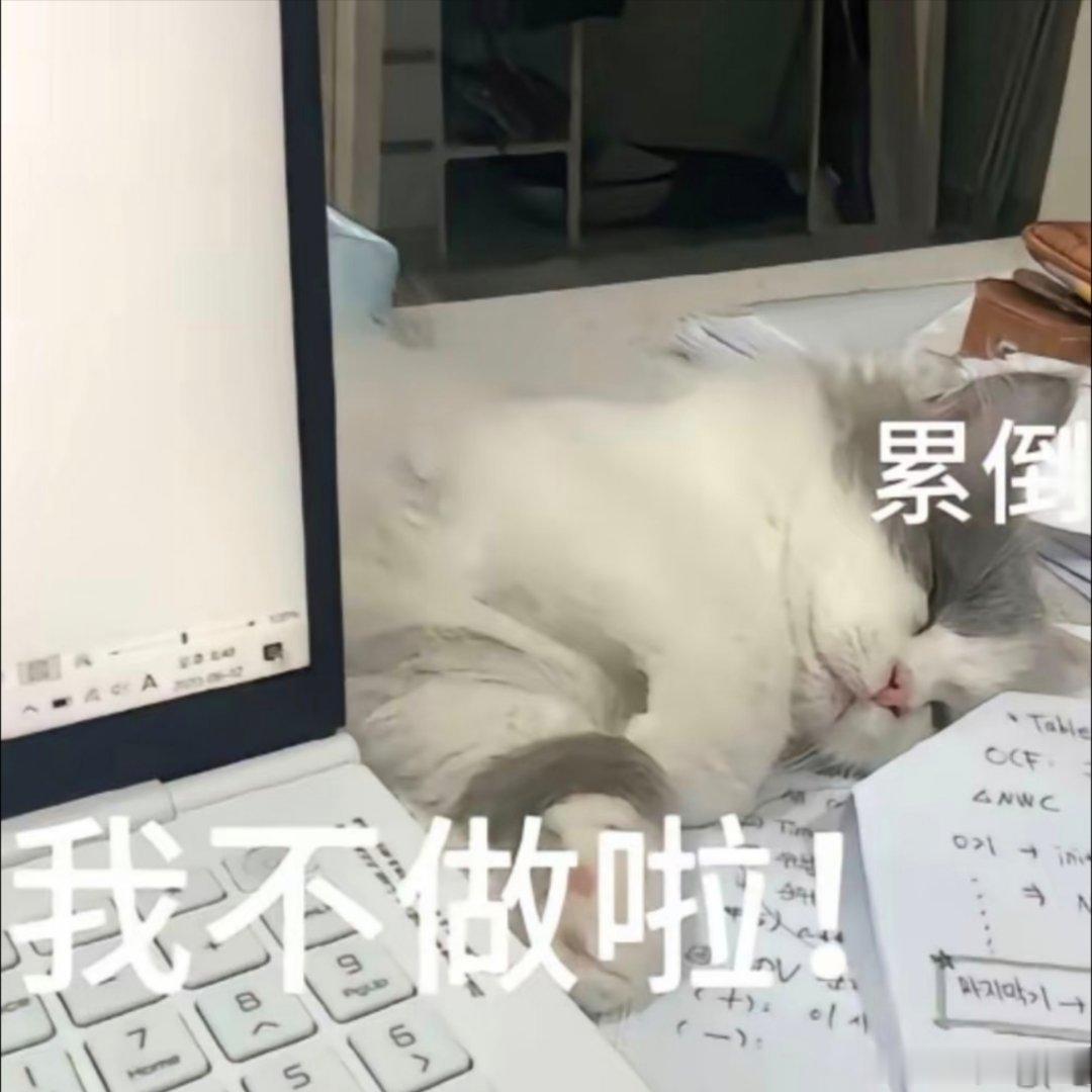 可可爱爱表情包。 