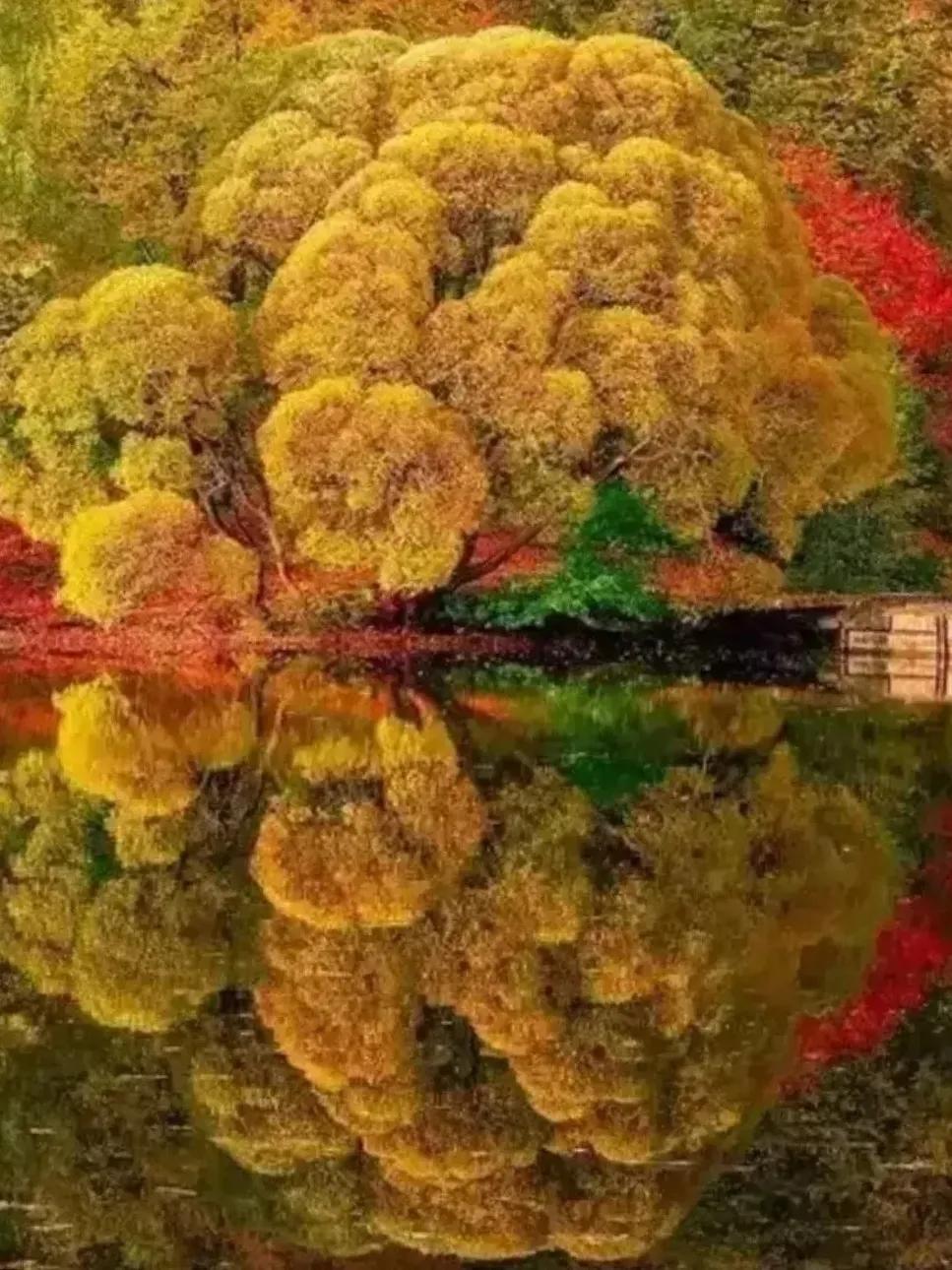 对你不好的人，
别计较，
越是计较，
越有困扰；

占你便宜的人，
别计较，
一