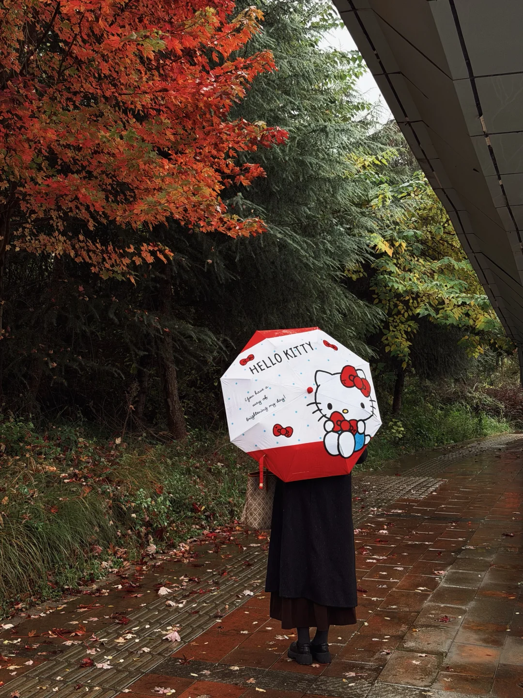 11.8花冠路红枫叶实拍！出片天桥附位置！