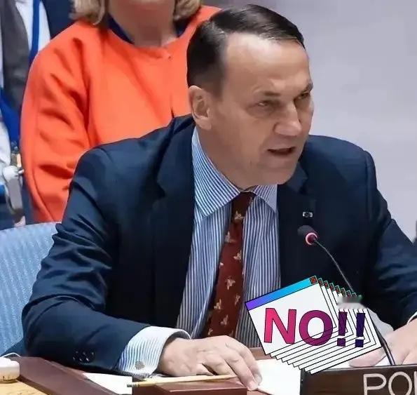 快讯！快讯！
波兰这下闯祸了
我方罕见声明
9月26日，波兰外长西科尔斯基在接受