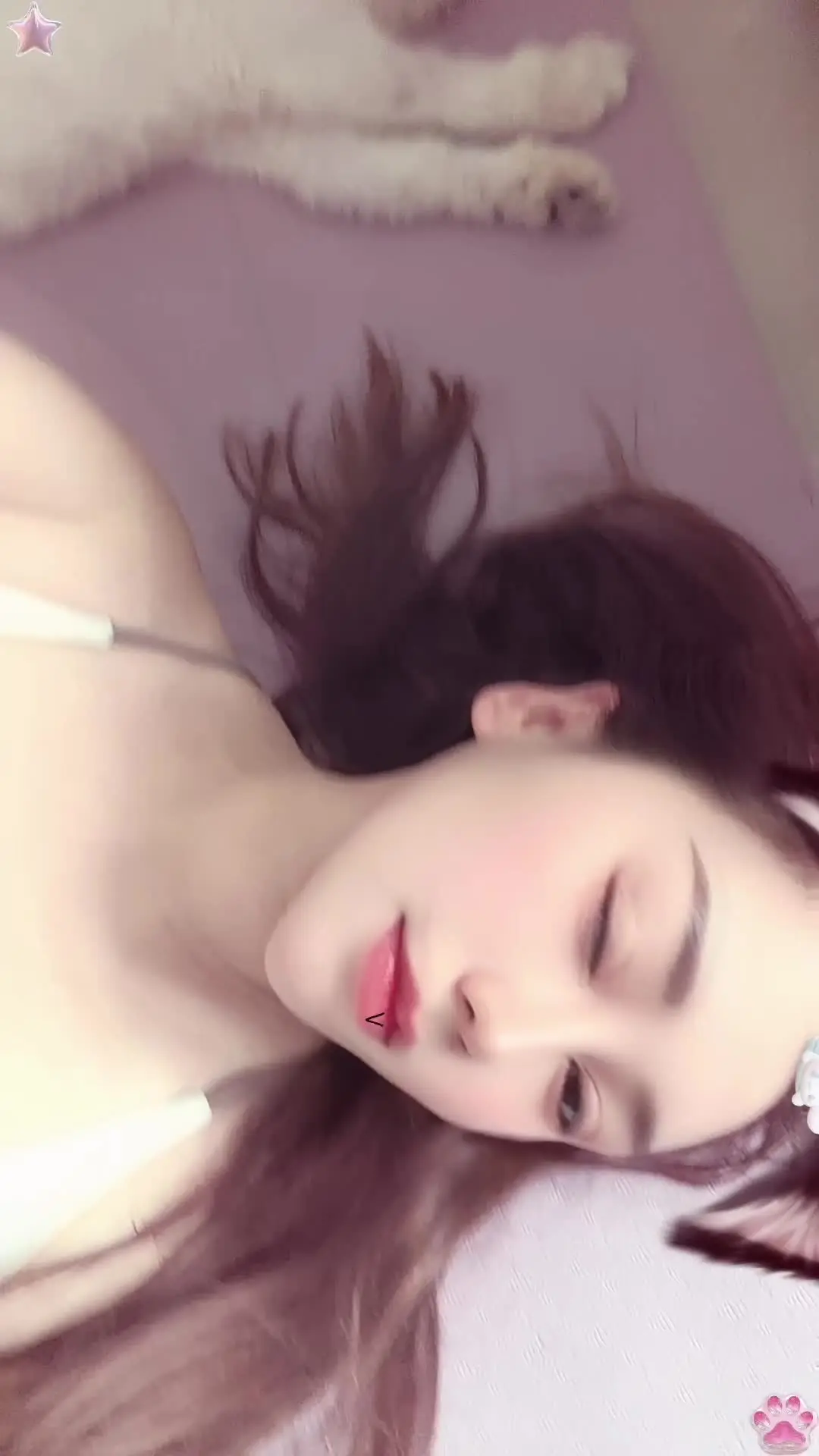 躺平的小崽子