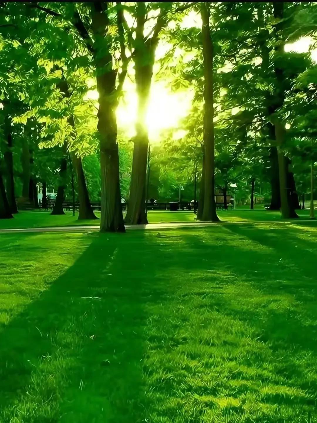 #每日金句打卡#学习是地球上仅次于自由的最珍贵的选择。
上初中时看过的一本书，好