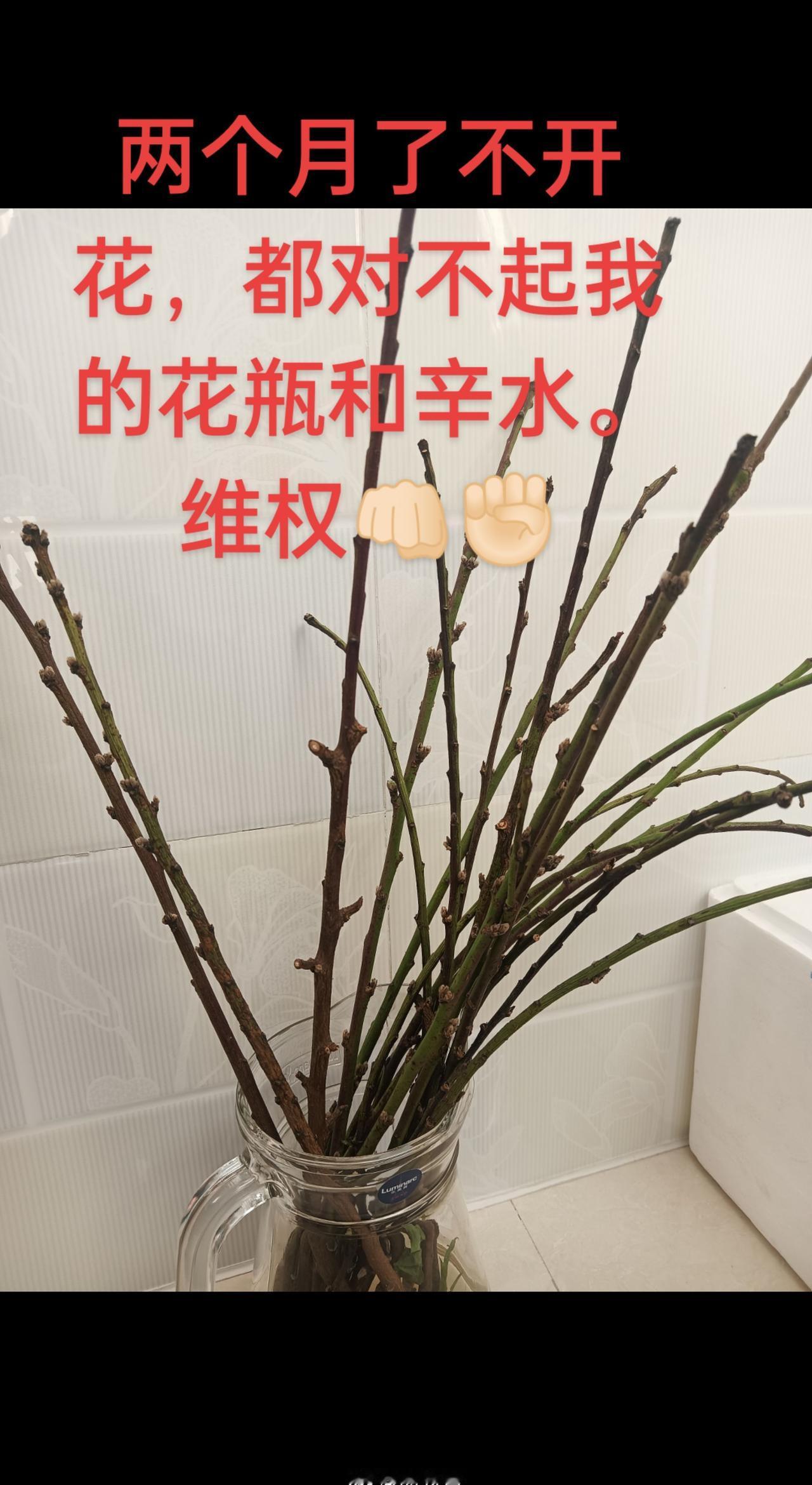 对无良必须说No，一分钱也是我挣的[碰拳][碰拳]
维权成功[加油][加油]生活