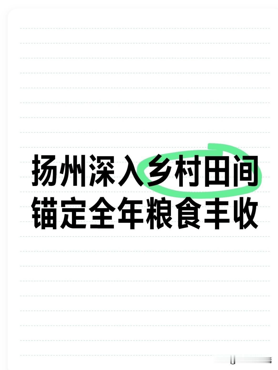 眼下芒种节气，扬州大地迎来一年一度“三夏”大忙。6月6日，扬州市委书记王进健赴宝