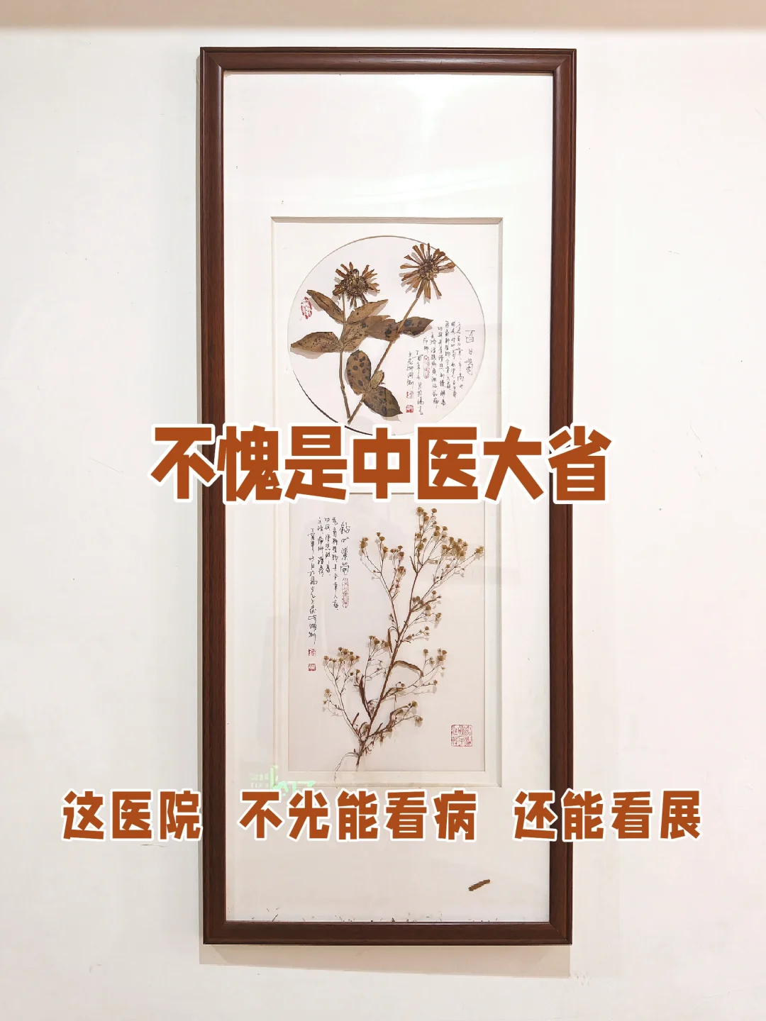 中医大省 医院也好逛的