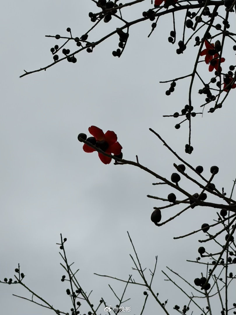 对，每天就喝喝咖啡，晒晒太阳，到处走走散散步，刷刷手机，看看好看的小姐姐研究研究