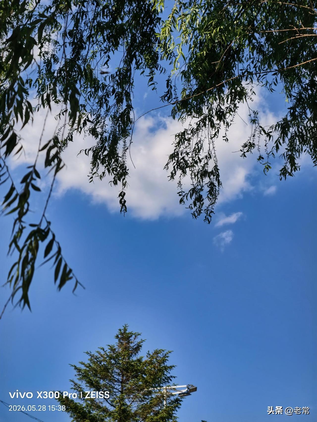 随手一拍，今日的天空，蓝天白云，微风不燥，令人心旷神怡。
晒晒你自己的手机摄影作