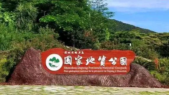 80天3条命！深圳这座野山为何成“吃人”陷阱？


80天里连续三人遇难！深圳大