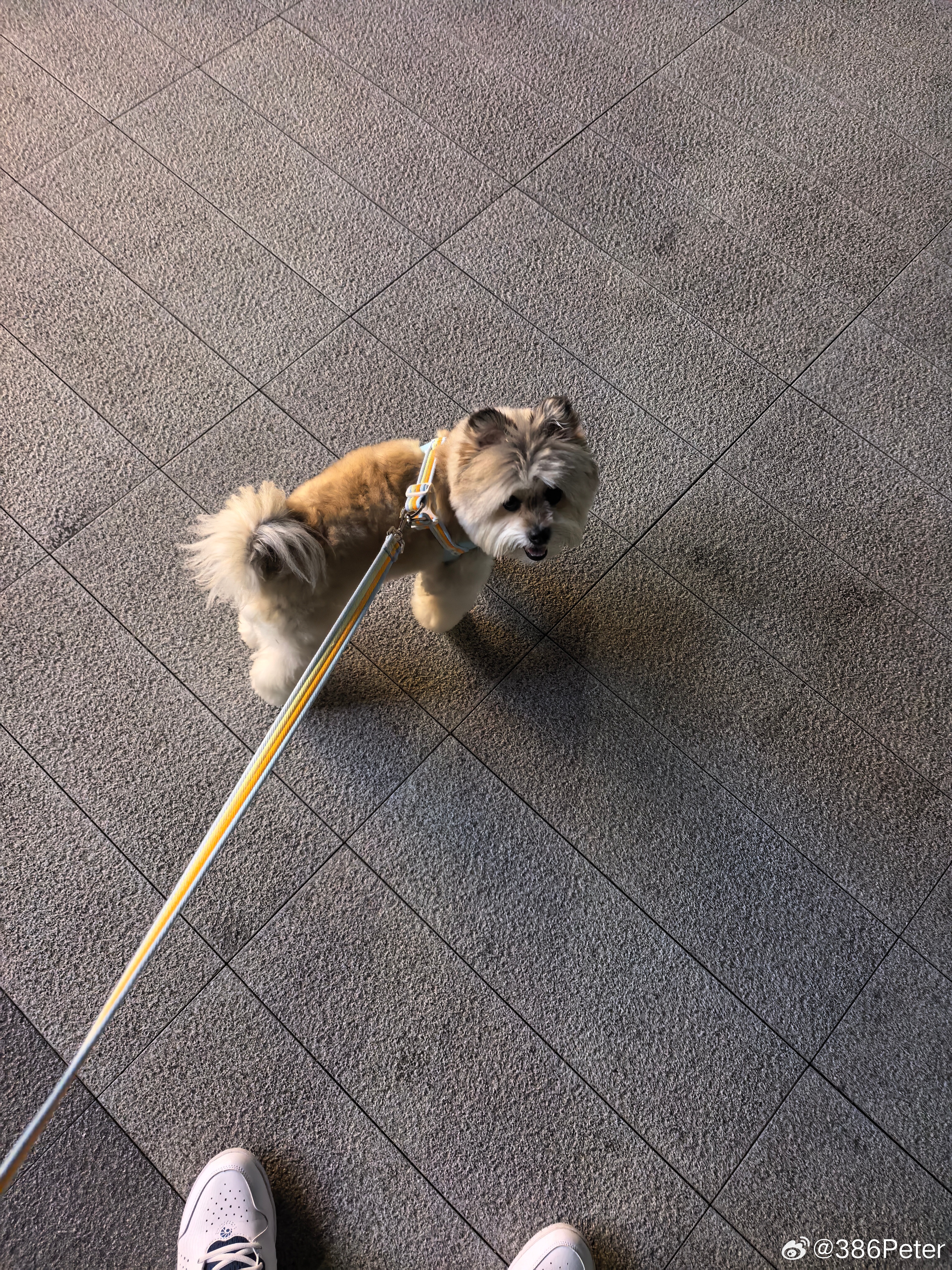 再次散步 ​​​