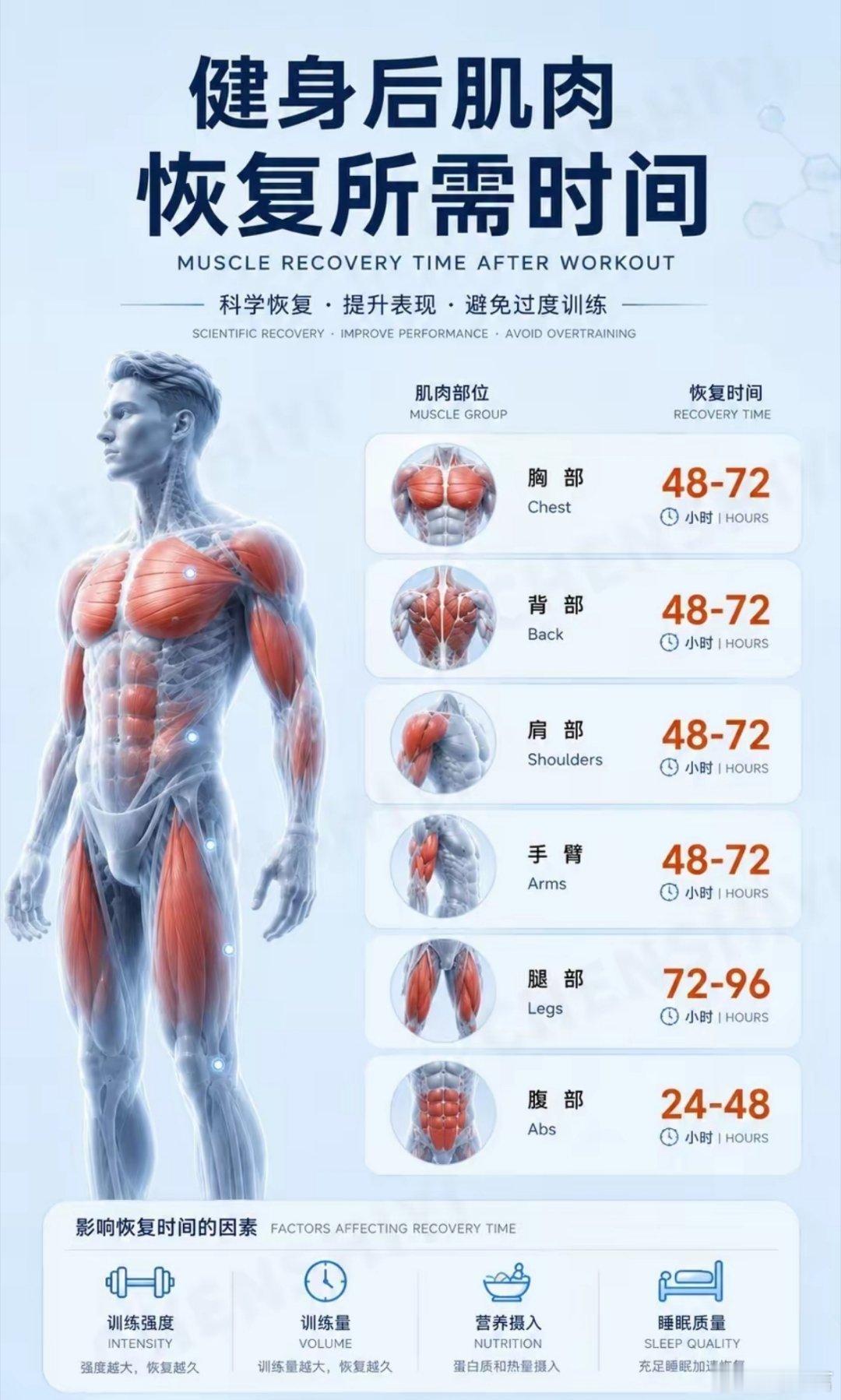 肌肉恢复时间表｜别白练💥恢复到位，增肌不累✅ 胸背肩臂：48-72h✅ 腿：7