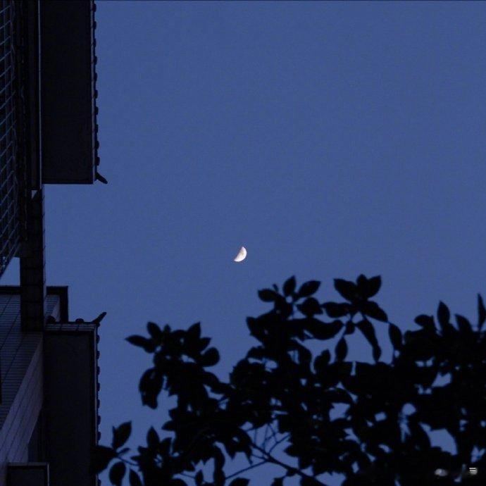 有人告诉我孤单的原因，是由爱上了一个不爱你的人那一刻开始的。 ​​​