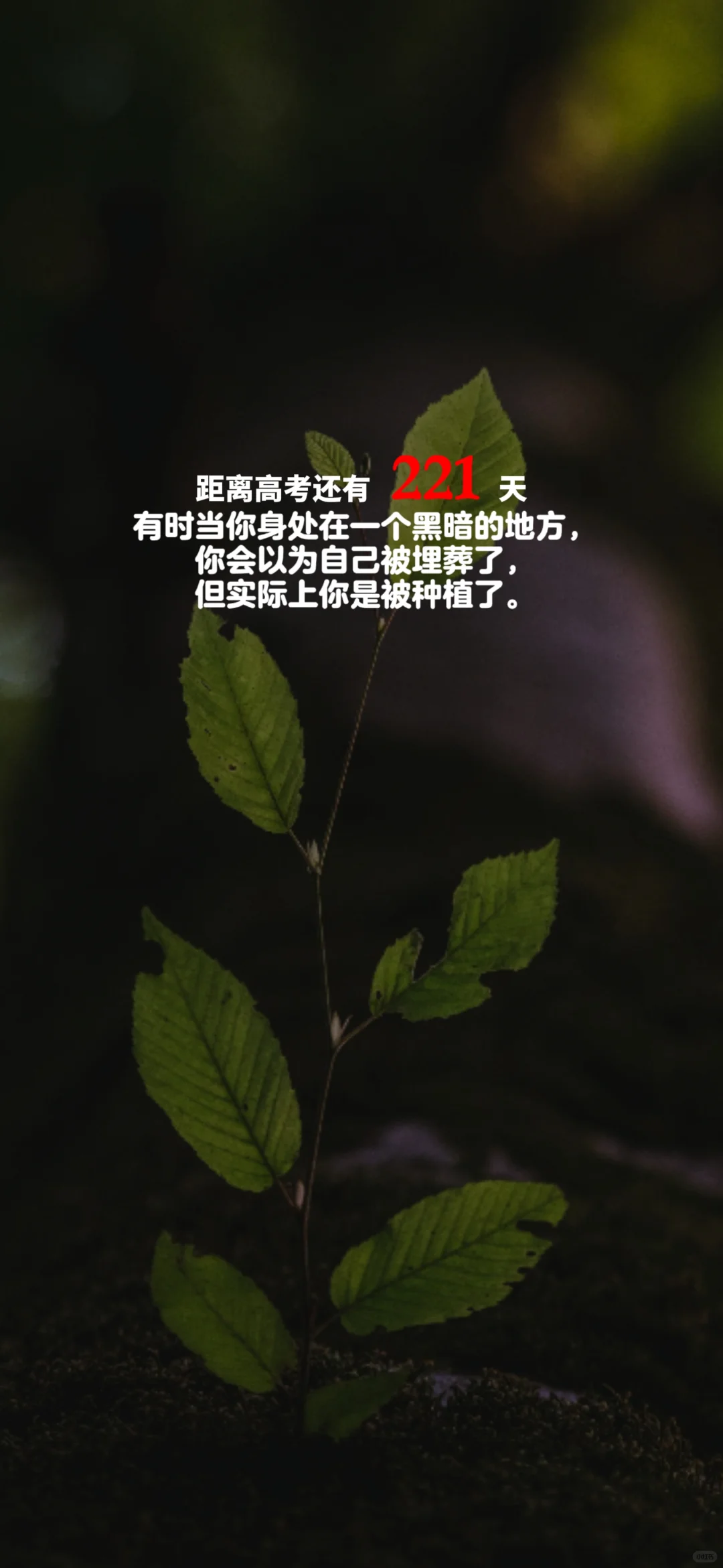 2025高考倒计时，每日更新。