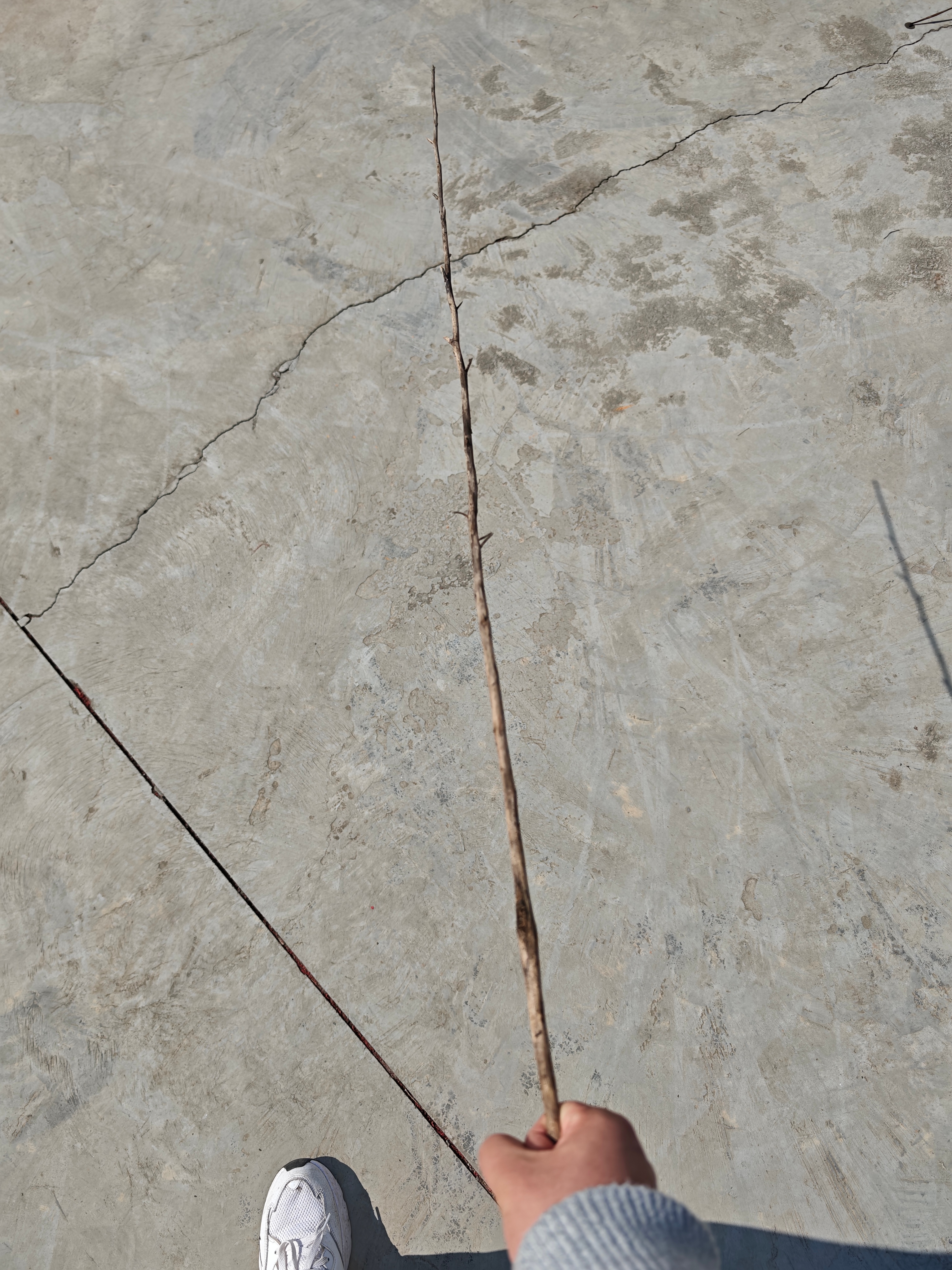 对笔直的棒子完全没有抵抗力 