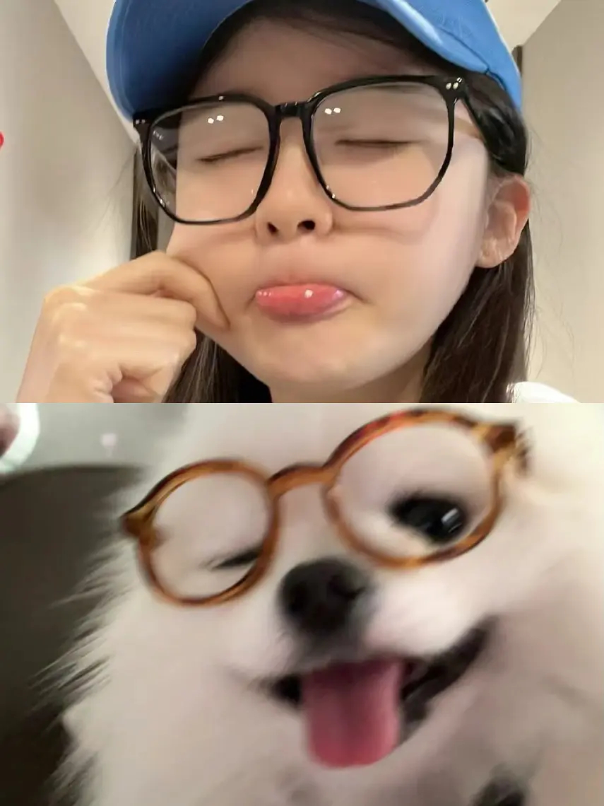 审汪积累🐶🦴 喜欢修勾的有福了张月0914生日快乐 ​​​