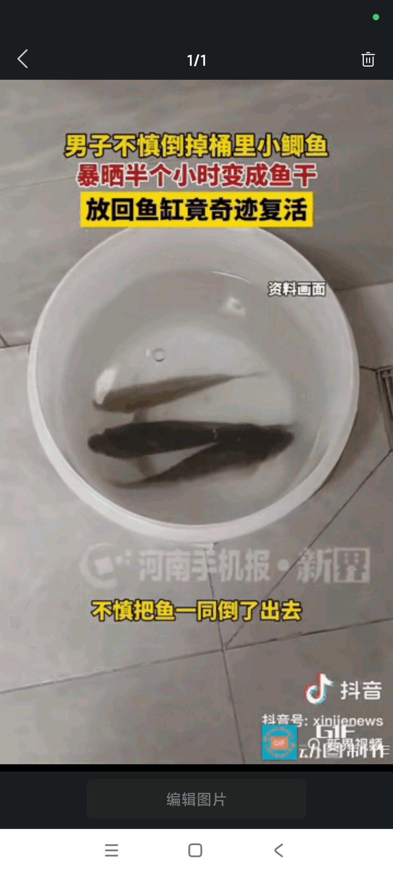 “解释不清了!” 河南一男子倒水时忘记桶里有条小鱼，一同倒了出去，等他反应过来时