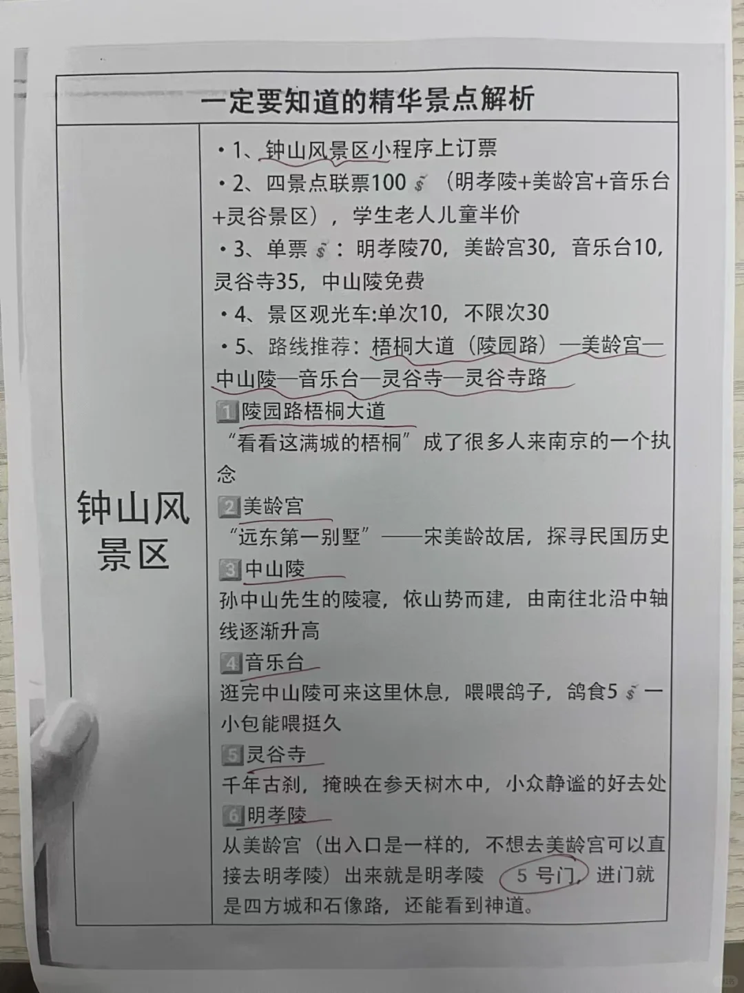 南京会惩罚每一个不提前预🈷️的人‼️