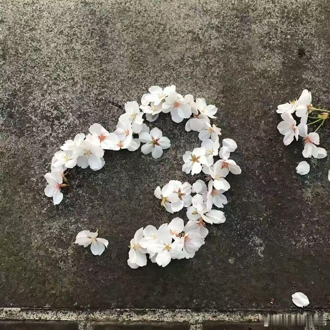 “只求一世一心愿  一生为一人”鞠婧祎傅容鞠婧祎如意芳霏  专栏 · 婧祎专属修