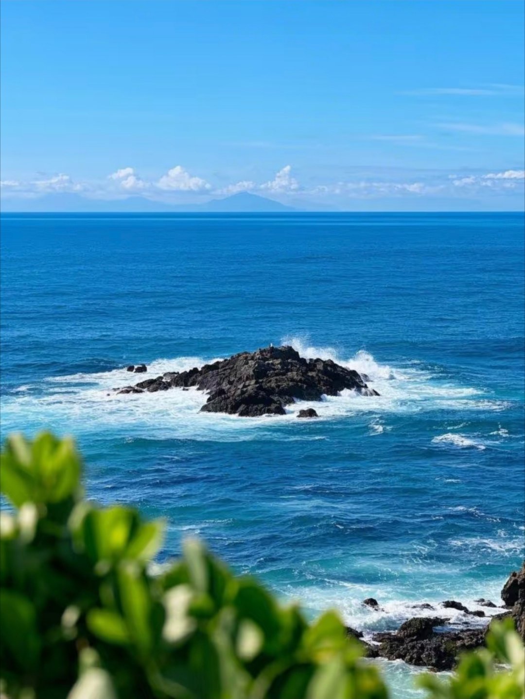 读书是一场精神的破茧我的私人宝藏书单书评 我走过山，走过水，可最终也不过是借助他