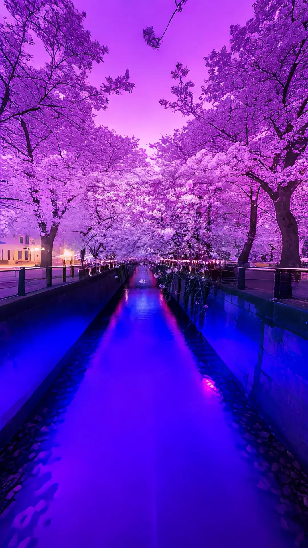 赏花，赏景，赏夜色。
第一张图赏水。
第二张图赏月。
第三张图赏路。
第4张图赏